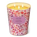 Home Lights Coral Paradise Scented Candles, 34oz Soy Candles Bohemian Natural Textures 3-Wick Large Candle Jars, Ideal Candle Gifts for Events, Home Decor Stress, Relief &amp; Relaxation