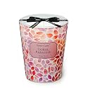 Home Lights Coral Paradise Scented Candles, 6.7oz Soy Candles Bohemian Natural Textures Candle Jars, Ideal Candle Gifts for Events, Home Decor Stress, Relief &amp; Relaxation