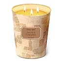Home Lights Large jar Candle, 3-Wick Long-Lasting Scented Candles, 34oz Natural Soy Wax Candle for Home Scented, Rustic Modern Gifts for Women &amp; Men, Salted Caramel
