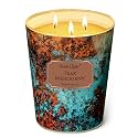 Home Lights Large jar Candle, 3-Wick Long-Lasting Scented Candles, 34oz Natural Soy Wax Candle for Home Scented, Industrial Chic Gifts for Women &amp; Men, Teak Mahogany
