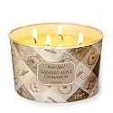 Home Lights Large jar Candle, 4-Wick Long-Lasting Scented Candles, 18oz Natural Soy Wax Candle for Home Scented, Rustic Modern Gifts for Women &amp; Men, Candied Apple Cinnamon