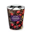 Home Lights Scented Candles for Women &amp; Men, 6.7oz Candle Jars Aromatherapy Single Wick Candle, Ideal for Eclectic Mixed Styles Home Decor and Gifts, Champagne Cassis &amp; Honey