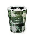 Home Lights Scented Candles for Women &amp; Men, 6.7oz Candle Jars Aromatherapy Single Wick Candle, Ideal for Scandinavian Minimalist Design Home Decor and Gifts, Sage &amp; Moss