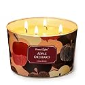 Home Lights Soy Wax Candles for Home Scented, 4-Wick Candles in Apple Orchard Scented, Aromatherapy Candles Gift for Parties, Relaxing, Eclectic Mixed Styles, 18oz