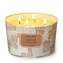 Home Lights Soy Wax Candles for Home Scented, 4-Wick Candles in Salted Caramel Scented, Rustic Modern Aromatherapy Candles Gift for Parties, Relaxing, 18oz