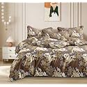 THE HOME STYLE 350TC Super Soft Glace Cotton King Size Duvet Cover II Razai Cover II Quilt Cover II Dohar for Double Bed with Zipper Closure (90x100 Inch, Caramel Vanilla)