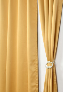 Homefab India 182 cm 6 ft Window