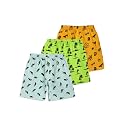 HOMEGROWN Boy39s Regular Shorts