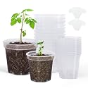 homenote 3/4 Inch Clear Nursery Pots with Drainage Holes and Tags (20 Pcs)