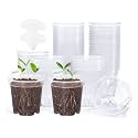 homenote 3 Inch Clear Nursery Pots with Drainage Holes, 20 Labels (60 Pcs)