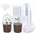 homenote 3 Inch Nursery Pots with Humidity Domes for Seed Starting (30 Pcs)