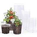 homenote 4/5/6.7 Inch Transparent Nursery Pots with Drainage Holes (30 Pcs)