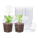 homenote 4 Inch Clear Nursery Pots for Plants with 20 Plant Labels (60 Pcs)