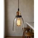 Homesake®Pendant Light with Bell Glass Shade, Metal Base Cap and Adjustable Textile Cord, Industrial Style Retro Hanging Lamps for Dining Living Room, Rose Gold