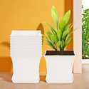 HOMESTIC by Kuber Industries Pack of 10 Premium Flower Pots for Garden with Bottom Plates | White Plant Container Set