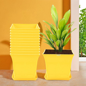 homestic by kuber industries pack of 12 premium flower pots for garden with bottom plates  yellow plant container set