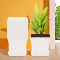 HOMESTIC by Kuber Industries Pack of 12 Premium Flower Pots for Garden with Bottom Plates | White Plant Container Set