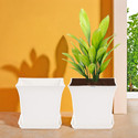 HOMESTIC by Kuber Industries Pack of 2 Premium Flower Pots for Garden with Bottom Plates | White Plant Container Set