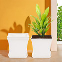 HOMESTIC by Kuber Industries Pack of 3 Premium Flower Pots for Garden with Bottom Plates | White Plant Container Set