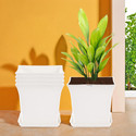 HOMESTIC by Kuber Industries Pack of 5 Premium Flower Pots for Garden with Bottom Plates | White Plant Container Set