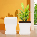 HOMESTIC by Kuber Industries Pack of 6 Premium Flower Pots for Garden with Bottom Plates | White Plant Container Set