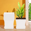 HOMESTIC by Kuber Industries Pack of 8 Premium Flower Pots for Garden with Bottom Plates | White Plant Container Set