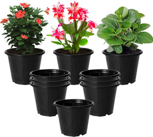 homestic by kuber industries plant container set