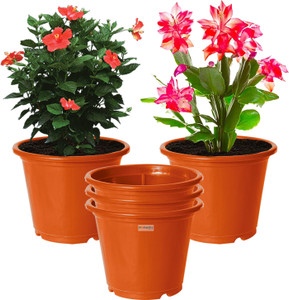 homestic by kuber industries plant container set