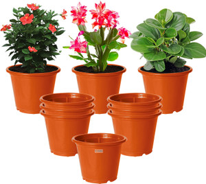 homestic by kuber industries plant container set