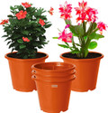 HOMESTIC by Kuber Industries Plant Container Set