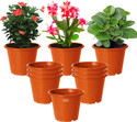 HOMESTIC by Kuber Industries Plant Container Set