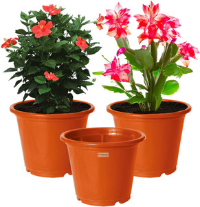 homestic by kuber industries plastic plantersgamlaflower pots for garden8x6pack of 3 orange plant container set