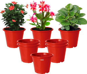homestic by kuber industries plastic plantersgamlaflower pots for garden8x6pack of 8 red plant container set