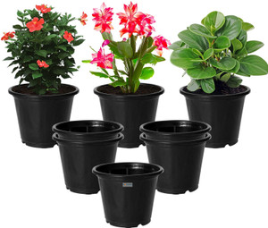 homestic by kuber industries plastic plantersgamlaflower pots for garden8x6pack of 8 black plant container set