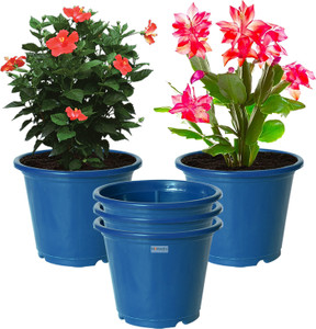 homestic by kuber industries plastic plantersgamlaflower pots for garden8x6pack of 5 blue plant container set
