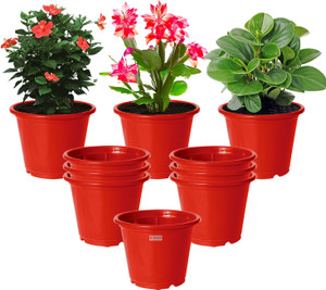 homestic plastic plantersgamlaflower pots for garden8x6pack of 10 red plant container set pack of 10 plastic