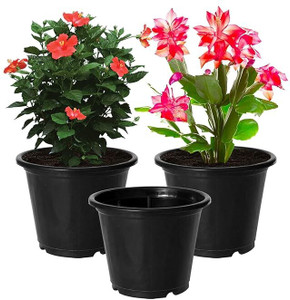homestic by kuber industries plastic plantersgamlaflower pots for garden8x6pack of 3 black plant container set