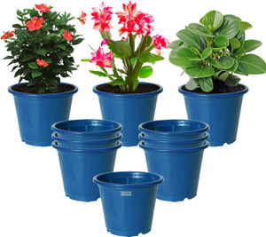 homestic by kuber industries plastic plantersgamlaflower pots for garden8x6pack of 10 blue plant container set