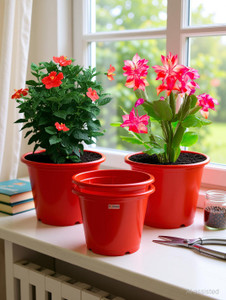 homestic by kuber industries plastic plantersgamlaflower pots for garden8x6pack of 4 red plant container set