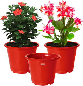 homestic by kuber industries plastic plantersgamlaflower pots for garden8x6pack of 3 red plant container set