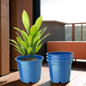 homestic by kuber industries plastic plantersgamlaflower pots for garden8x6pack of 4 blue plant container set