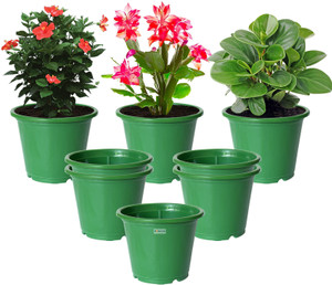 homestic by kuber industries plastic plantersgamlaflower pots for garden8x6pack of 8 green plant container set