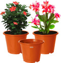 HOMESTIC by Kuber Industries Plastic Planters|Gamla|Flower Pots for Garden,8"x6",Pack of 3 (Orange) Plant Container Set