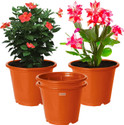 HOMESTIC by Kuber Industries Plastic Planters|Gamla|Flower Pots for Garden,8"x6",Pack of 4 (Orange) Plant Container Set