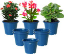 HOMESTIC by Kuber Industries Plastic Planters|Gamla|Flower Pots for Garden,8"x6",Pack of 8 (Blue) Plant Container Set