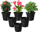 HOMESTIC by Kuber Industries Plastic Planters|Gamla|Flower Pots for Garden,8"x6",Pack of 8 (Black) Plant Container Set