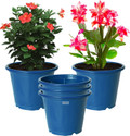 HOMESTIC by Kuber Industries Plastic Planters|Gamla|Flower Pots for Garden,8"x6",Pack of 5 (Blue) Plant Container Set