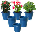 HOMESTIC by Kuber Industries Plastic Planters|Gamla|Flower Pots for Garden,8"x6",Pack of 10 (Blue) Plant Container Set