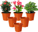 HOMESTIC by Kuber Industries Plastic Planters|Gamla|Flower Pots for Garden,8"x6",Pack of 8 (Orange) Plant Container Set