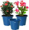 HOMESTIC by Kuber Industries Plastic Planters|Gamla|Flower Pots for Garden,8"x6",Pack of 3 (Blue) Plant Container Set